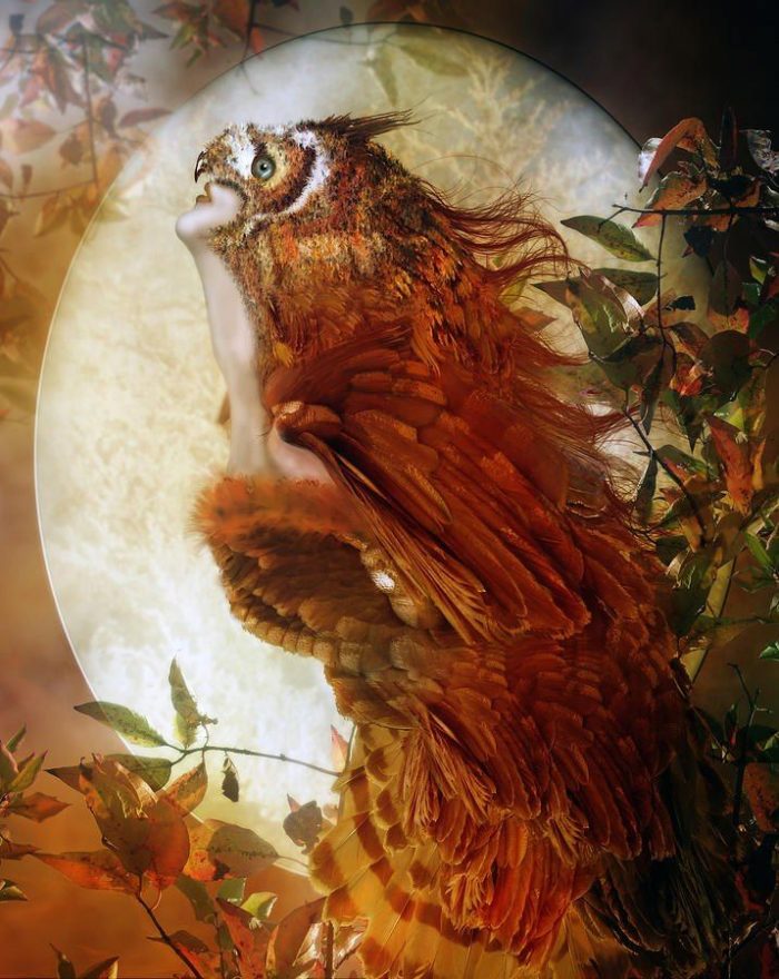 gestalt katowice, terapia w katowicach, psychoterapia online, terapia gestalt czy poznawczo-behawioralna, Małgorzata Rychert-Chudzik, terapia indywidualna w katowicach, terapia par, jaką terapię wybrać, jak wybrać psychoterapeutę, czy terapia gestalt jest dla mnie, psychologia humanistyczna, pracowania Jabłoń w katowicach opinie, ile kosztuje psychoterapia