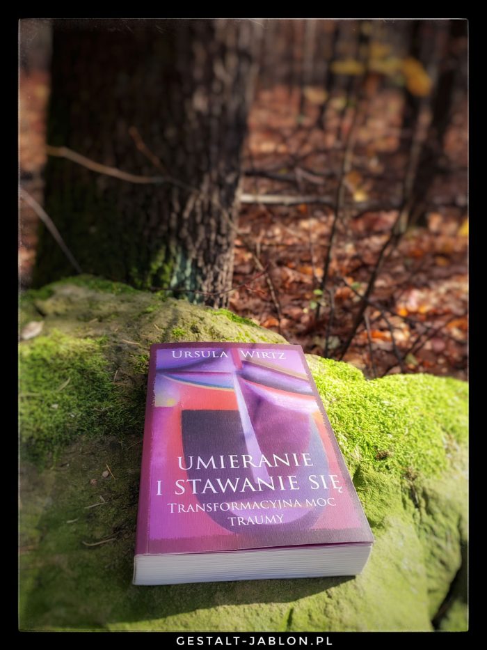 czy istnieje życie po śmierci? recenzja książki, gestalt katowice, terapia w katowicach, psychoterapia online, terapia gestalt czy poznawczo-behawioralna, Małgorzata Rychert-Chudzik, terapia indywidualna w katowicach, terapia par, jaką terapię wybrać, jak wybrać psychoterapeutę, czy terapia gestalt jest dla mnie, psychologia humanistyczna, pracowania Jabłoń w katowicach opinie, ile kosztuje psychoterapia