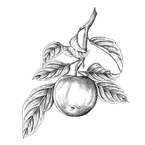 jaką terapie wybrać, dobry psychoterapeuta katowice, znany lekarz psychoterapeuta katowice, psycholog śląsk, gestalt na czym polega, terapia gestalt wady i zalety, Małgorzata Rychert-Chudzik, psychologia humanistyczna, pracownia Jabłoń katowice