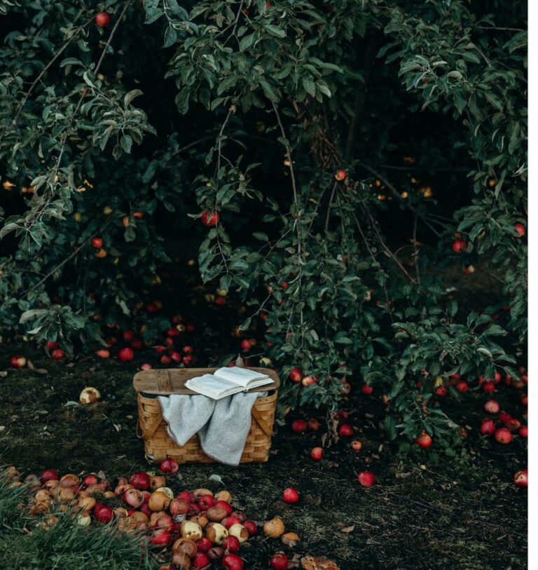 pracownia rozwoju osobistego jabłoń w katowicach jaką terapie wybrać, dobry psychoterapeuta katowice, znany lekarz psychoterapeuta katowice, psycholog śląsk, gestalt na czym polega, terapia gestalt wady i zalety, Małgorzata Rychert-Chudzik, psychologia humanistyczna, pracownia Jabłoń katowice